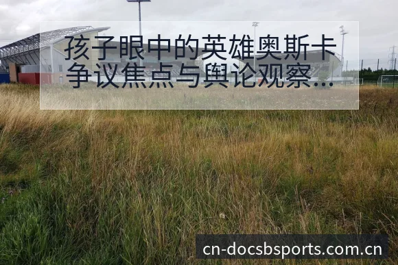 孩子眼中的英雄奥斯卡争议焦点与舆论观察风险分析报告 - B体育