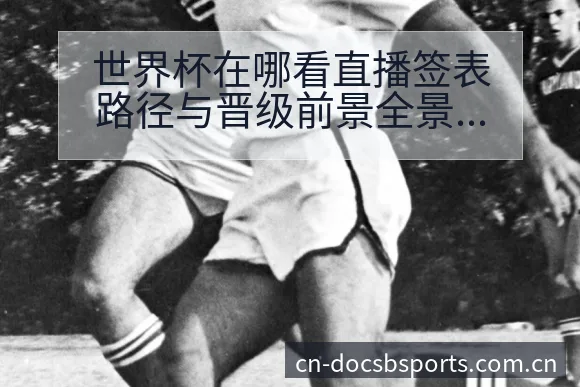 世界杯在哪看直播签表路径与晋级前景全景分析 - B体育