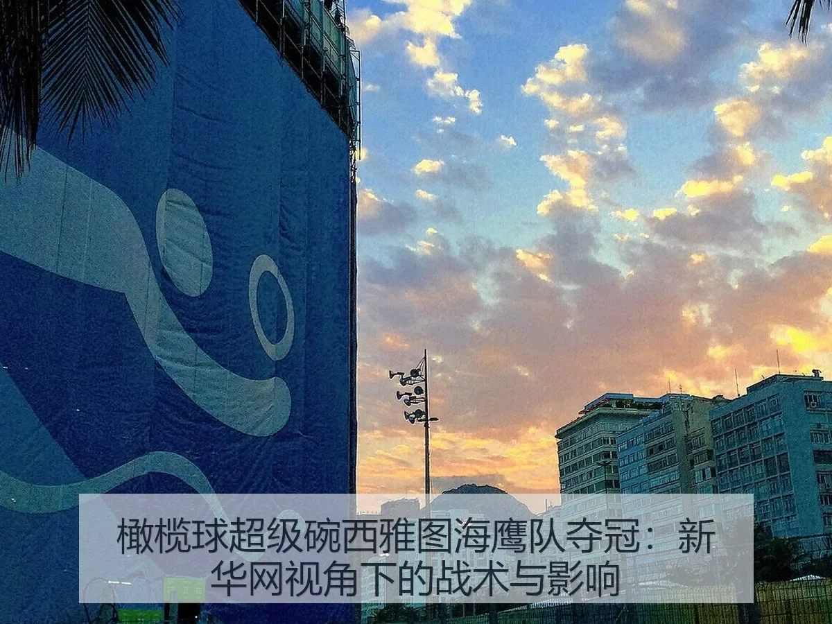 橄榄球超级碗西雅图海鹰队夺冠：战术与影响